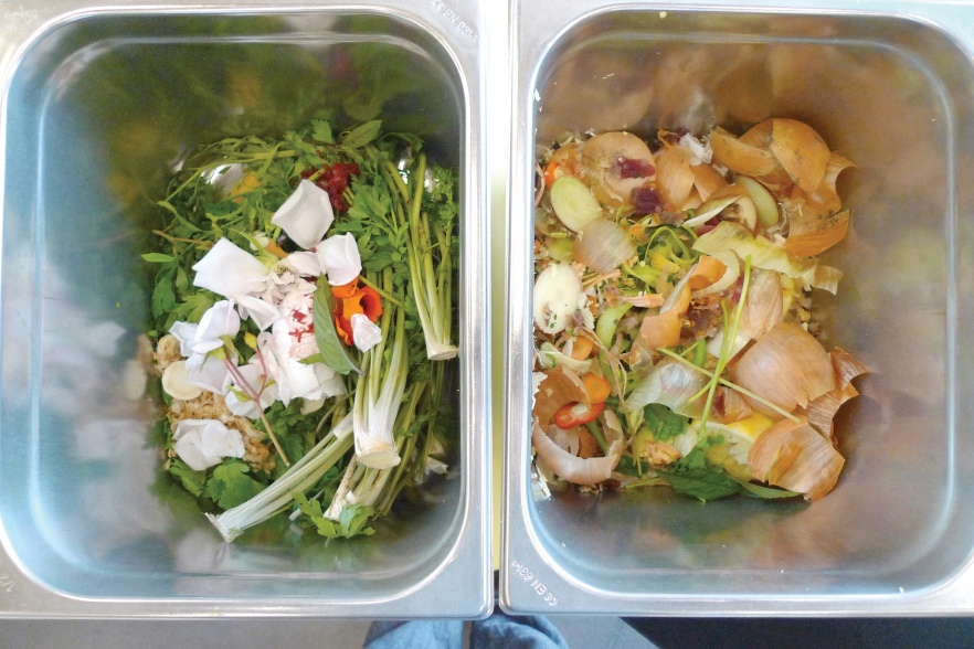 Vegetarian Course